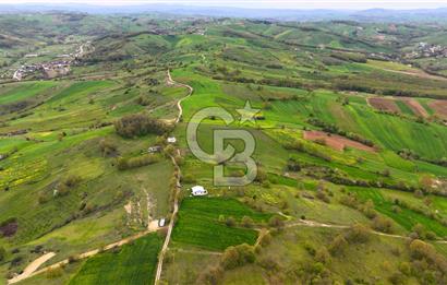 CB AKADEMİ HAKANİYE KÖYÜ YOL CEPHE SATILIK 20.046 m2 TARLA