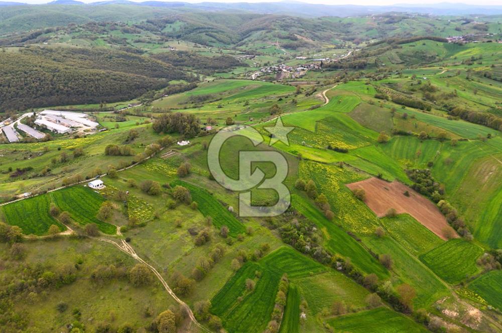 CB AKADEMİ HAKANİYE KÖYÜ YOL CEPHE SATILIK 20.046 m2 TARLA