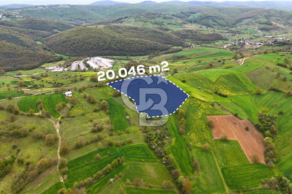CB AKADEMİ HAKANİYE KÖYÜ YOL CEPHE SATILIK 20.046 m2 TARLA