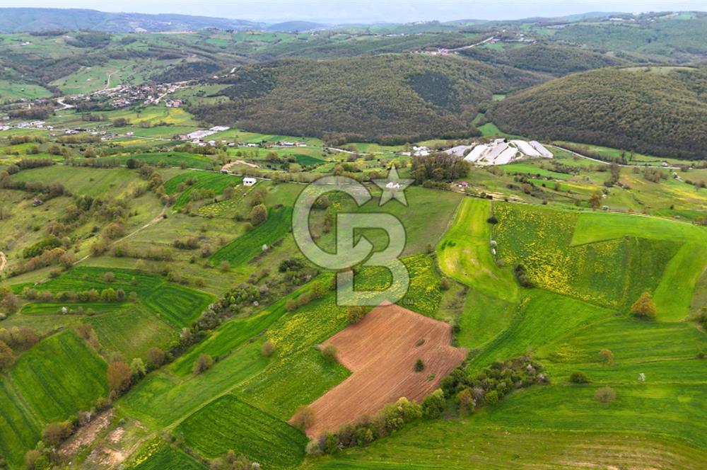 CB AKADEMİ HAKANİYE KÖYÜ YOL CEPHE SATILIK 20.046 m2 TARLA
