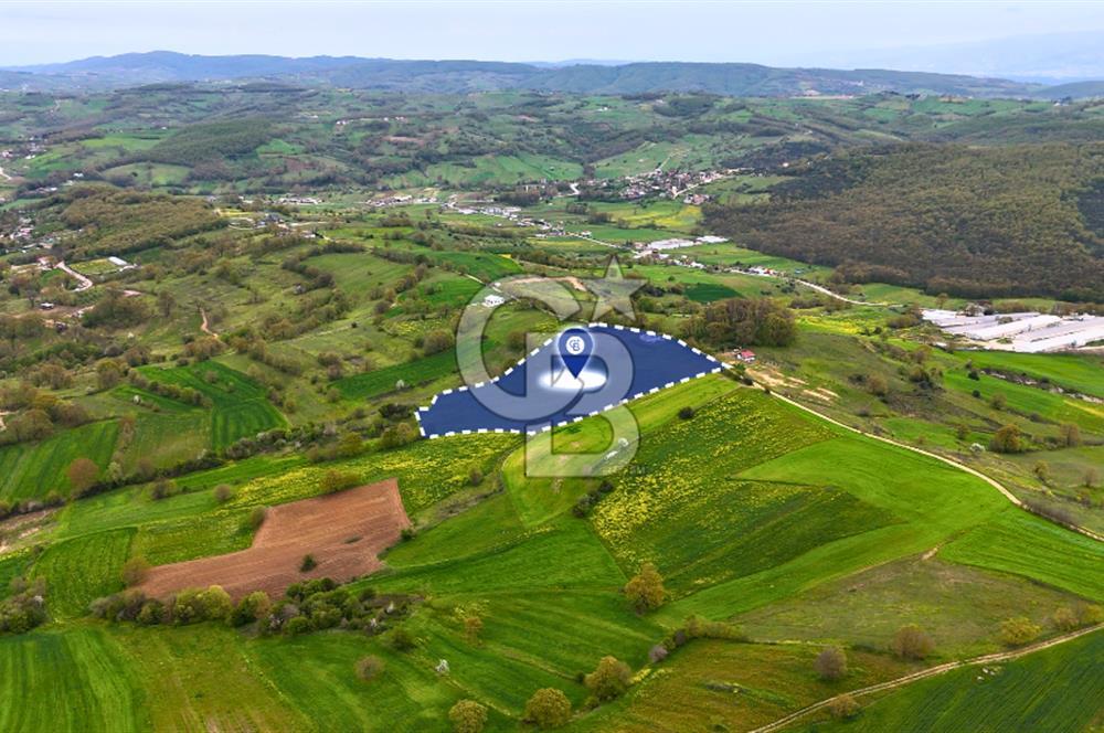 CB AKADEMİ HAKANİYE KÖYÜ YOL CEPHE SATILIK 20.046 m2 TARLA