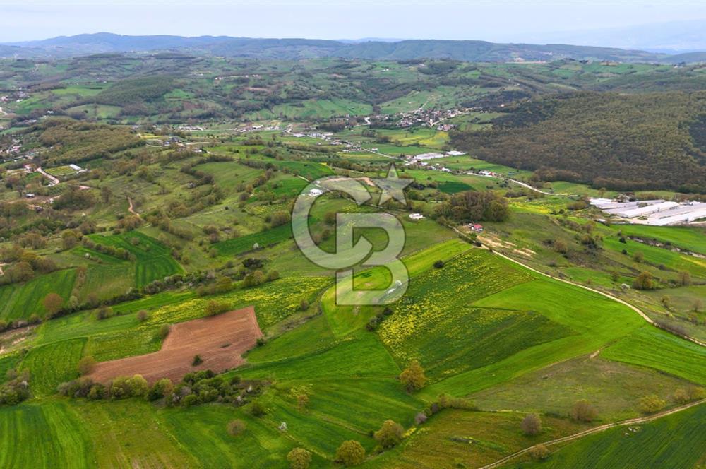 CB AKADEMİ HAKANİYE KÖYÜ YOL CEPHE SATILIK 20.046 m2 TARLA