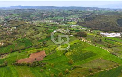CB AKADEMİ HAKANİYE KÖYÜ YOL CEPHE SATILIK 20.046 m2 TARLA