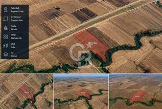 Ergene Ulaş ta Stratejik Konumda 27.733 m² Yatırım Fırsatı - 2 - 346806