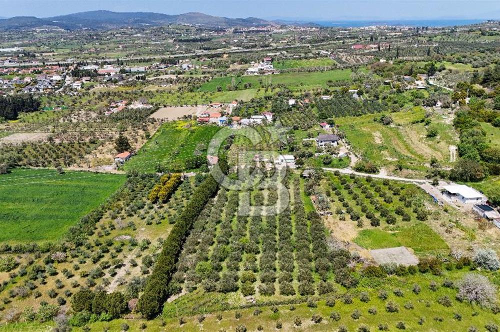 Urla Kuşçularda Yola Cepheli 8304 m² Satılık Tarla