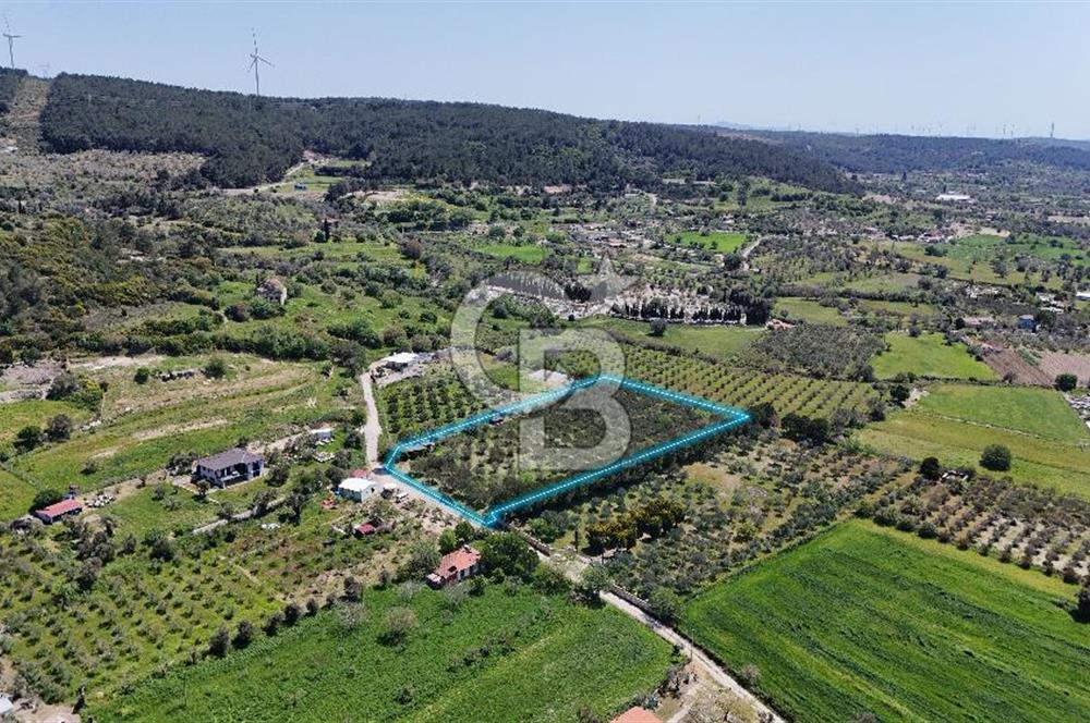 Urla Kuşçularda Yola Cepheli 8304 m² Satılık Tarla