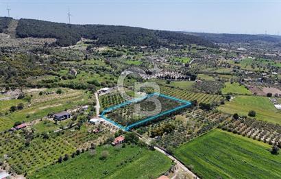 Urla Kuşçularda Yola Cepheli 8304 m² Satılık Tarla