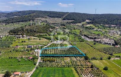 Urla Kuşçularda Yola Cepheli 8304 m² Satılık Tarla