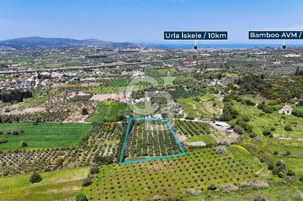 Urla Kuşçularda Yola Cepheli 8304 m² Satılık Tarla