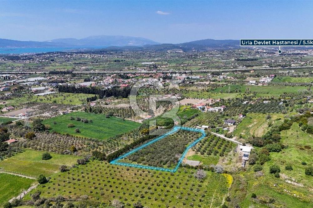 Urla Kuşçularda Yola Cepheli 8304 m² Satılık Tarla
