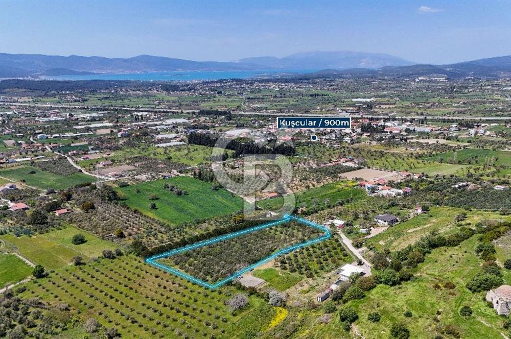 Urla Kuşçularda Yola Cepheli 8304 m² Satılık Tarla