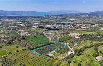 Urla Kuşçularda Yola Cepheli 8304 m² Satılık Tarla