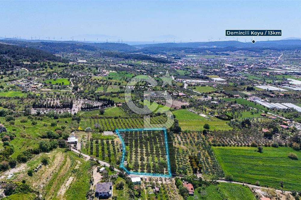 Urla Kuşçularda Yola Cepheli 8304 m² Satılık Tarla