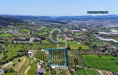 Urla Kuşçularda Yola Cepheli 8304 m² Satılık Tarla