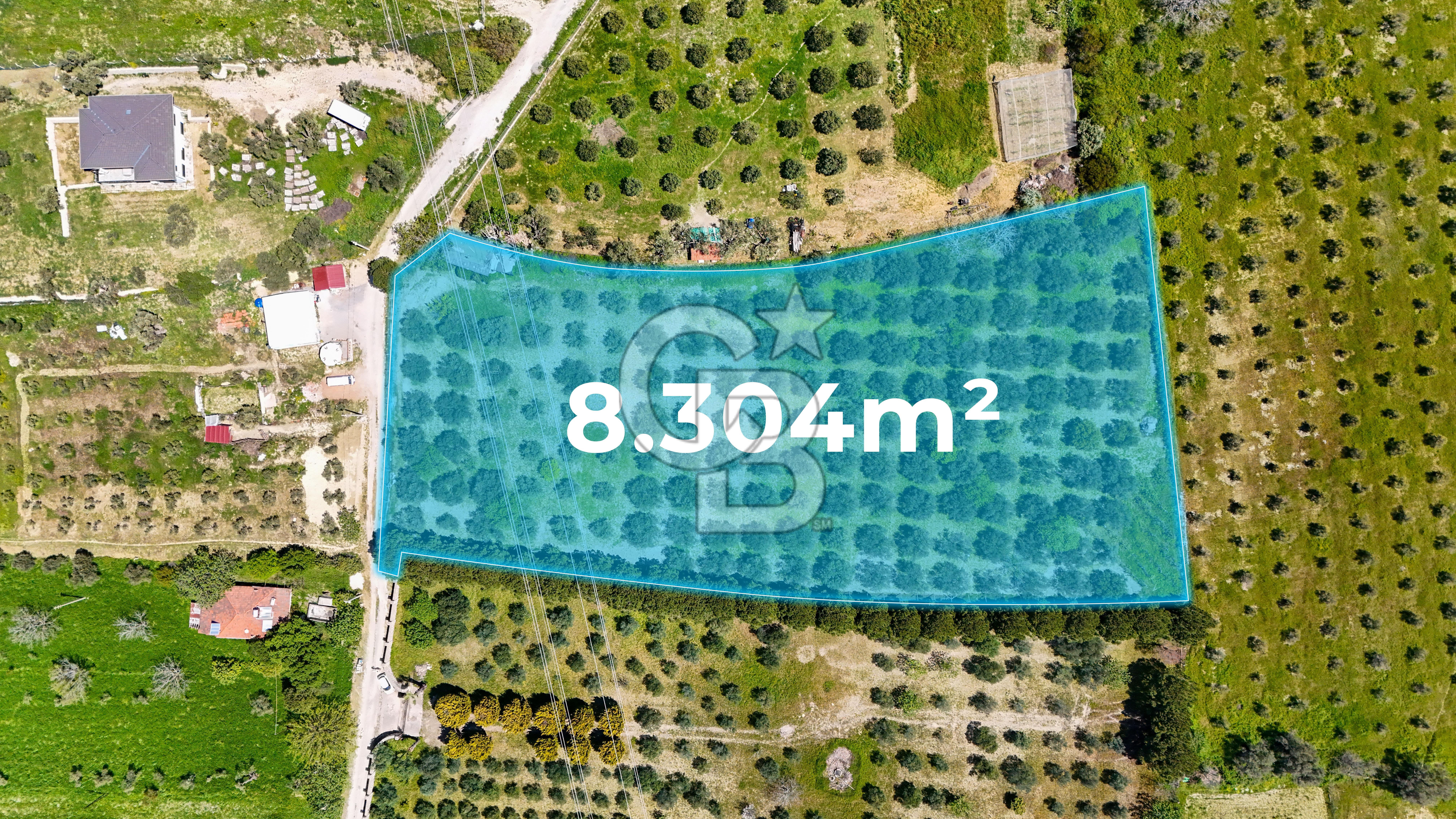 Urla Kuşçularda Yola Cepheli 8304 m² Satılık Tarla