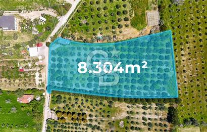 Urla Kuşçularda Yola Cepheli 8304 m² Satılık Tarla