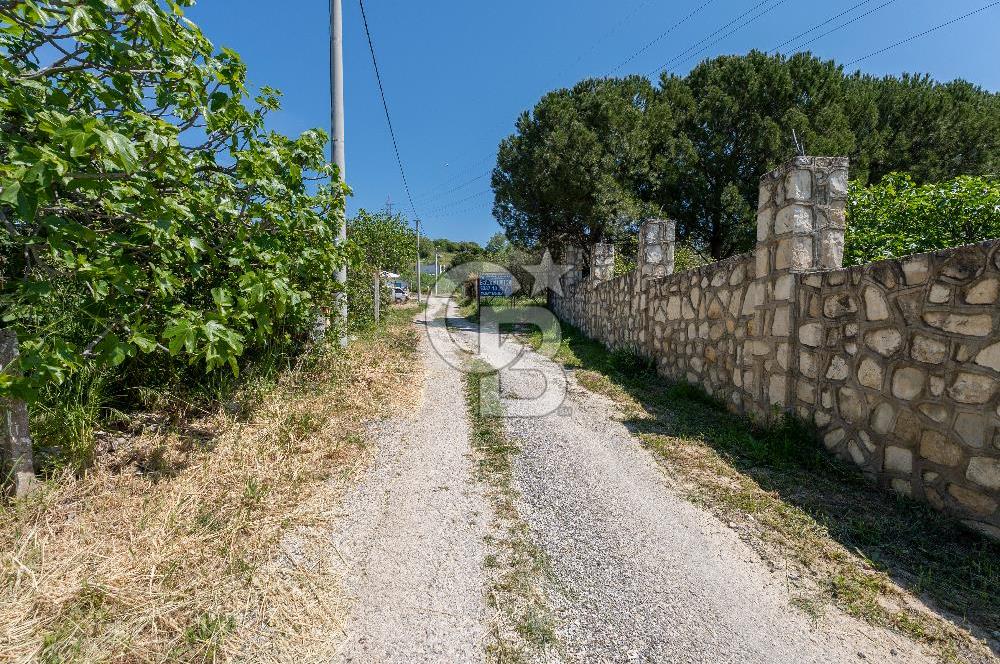 Urla Kuşçularda Yola Cepheli 8304 m² Satılık Tarla