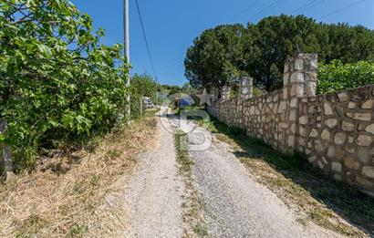 Urla Kuşçularda Yola Cepheli 8304 m² Satılık Tarla
