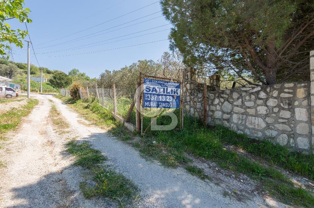 Urla Kuşçularda Yola Cepheli 8304 m² Satılık Tarla