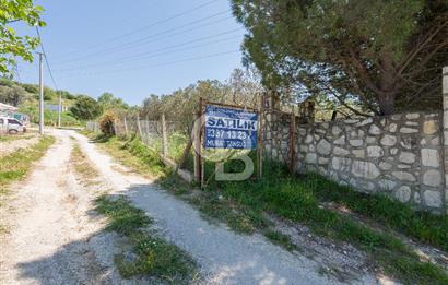 Urla Kuşçularda Yola Cepheli 8304 m² Satılık Tarla