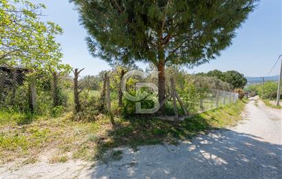Urla Kuşçularda Yola Cepheli 8304 m² Satılık Tarla
