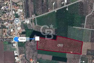  AKHİSAR BEKİRLER KÖY İÇİNDE SATILIK 43110M2 ZEYTİNLİK  - 11 - 346838