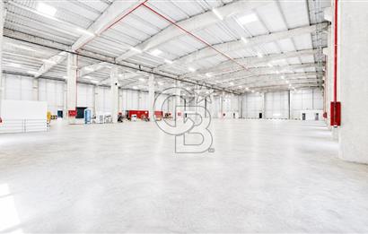 TORBALI YENİKÖY KARMA OSB KİRALIK 8000 M2 FABRİKA