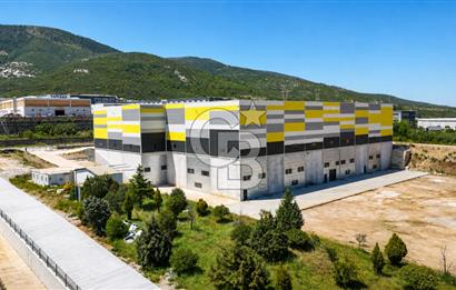 TORBALI YENİKÖY KARMA OSB KİRALIK 8000 M2 FABRİKA