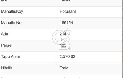 Tavas'ta Doğayla Baş Başa Yatırımlık Fırsat 2570 m2 Arazi