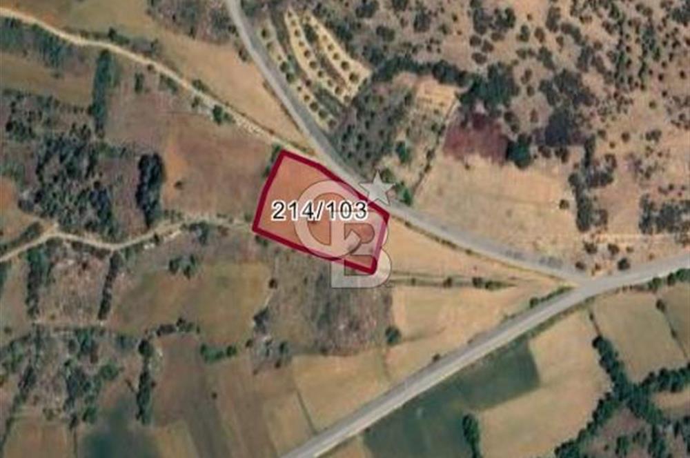 Tavas'ta Doğayla Baş Başa Yatırımlık Fırsat 2570 m2 Arazi