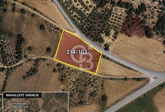 Tavas'ta Doğayla Baş Başa Yatırımlık Fırsat 2570 m2 Arazi - 1 - 346869