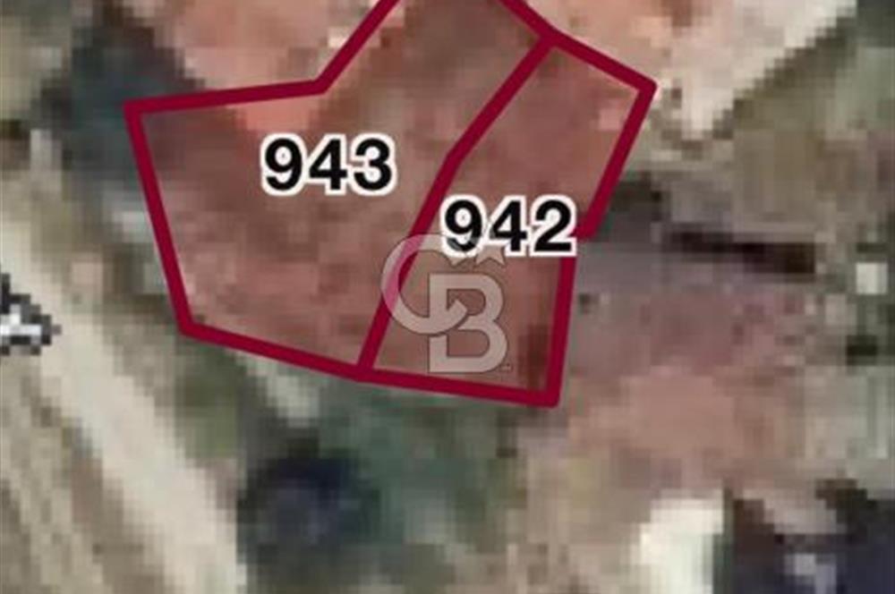 Tavas Pınarlık'ta Yan Yana 2 Parsel Yatırıma Uygun Arazi Fırsatı