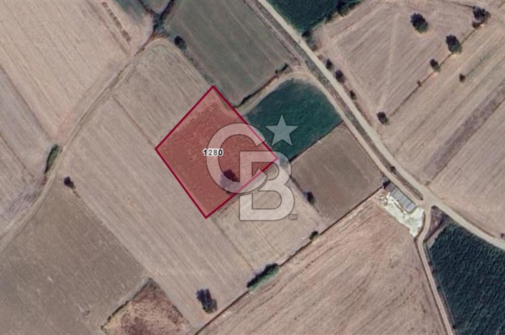 ÇANAKKALE BAYRAMİÇ/TÜRKMENLİ KÖYÜNDE SATILIK 3950 m² ARSA