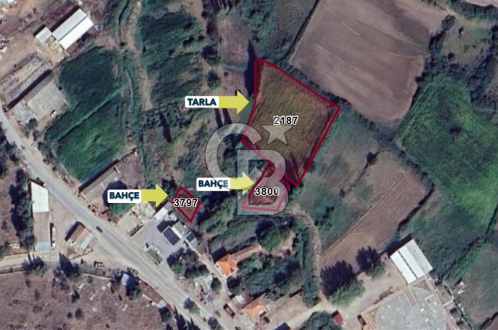 ÇANAKKALE BAYRAMİÇ/TÜRKMENLİ KÖYÜ 204 m2 SATILIK BAHÇE