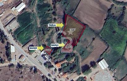 ÇANAKKALE BAYRAMİÇ/TÜRKMENLİ KÖYÜ 204 m2 SATILIK BAHÇE