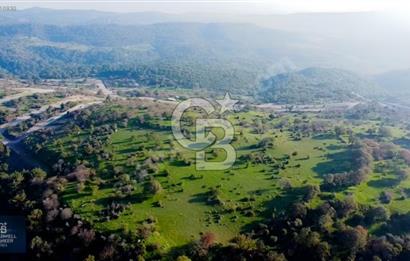 ÇANAKKALE AYVACIK PAŞAKÖY DENİZ MANZARALI İMARLI 5001 M2 ARSA