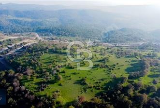 ÇANAKKALE AYVACIK PAŞAKÖY DENİZ MANZARALI İMARLI 5001 M2 ARSA - 6 - 346916