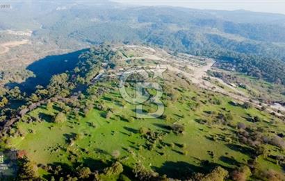 ÇANAKKALE AYVACIK PAŞAKÖY DENİZ MANZARALI İMARLI 5001 M2 ARSA