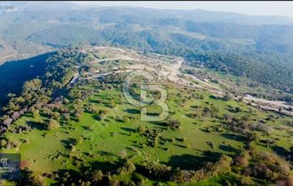 ÇANAKKALE AYVACIK PAŞAKÖY DENİZ MANZARALI İMARLI 5001 M2 ARSA