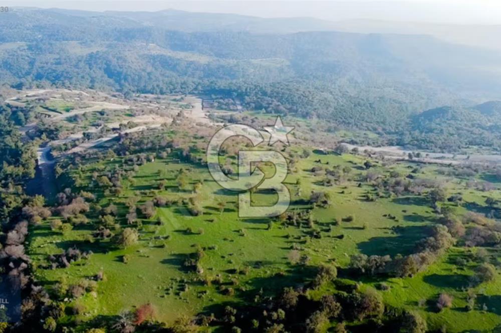 ÇANAKKALE AYVACIK PAŞAKÖY DENİZ MANZARALI İMARLI 5001 M2 ARSA