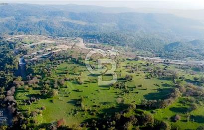 ÇANAKKALE AYVACIK PAŞAKÖY DENİZ MANZARALI İMARLI 5001 M2 ARSA