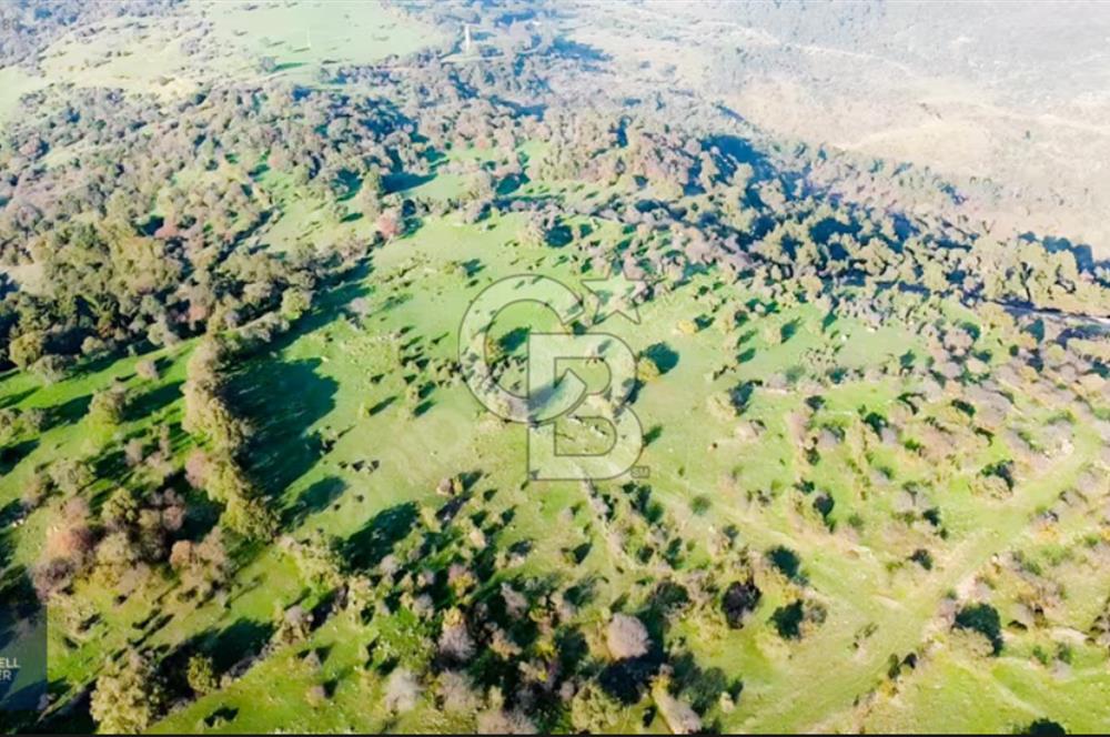 ÇANAKKALE AYVACIK PAŞAKÖY DENİZ MANZARALI İMARLI 5001 M2 ARSA