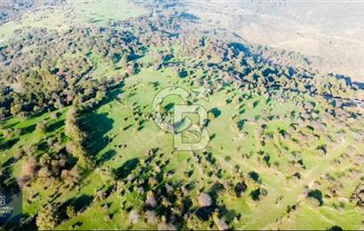ÇANAKKALE AYVACIK PAŞAKÖY DENİZ MANZARALI İMARLI 5001 M2 ARSA