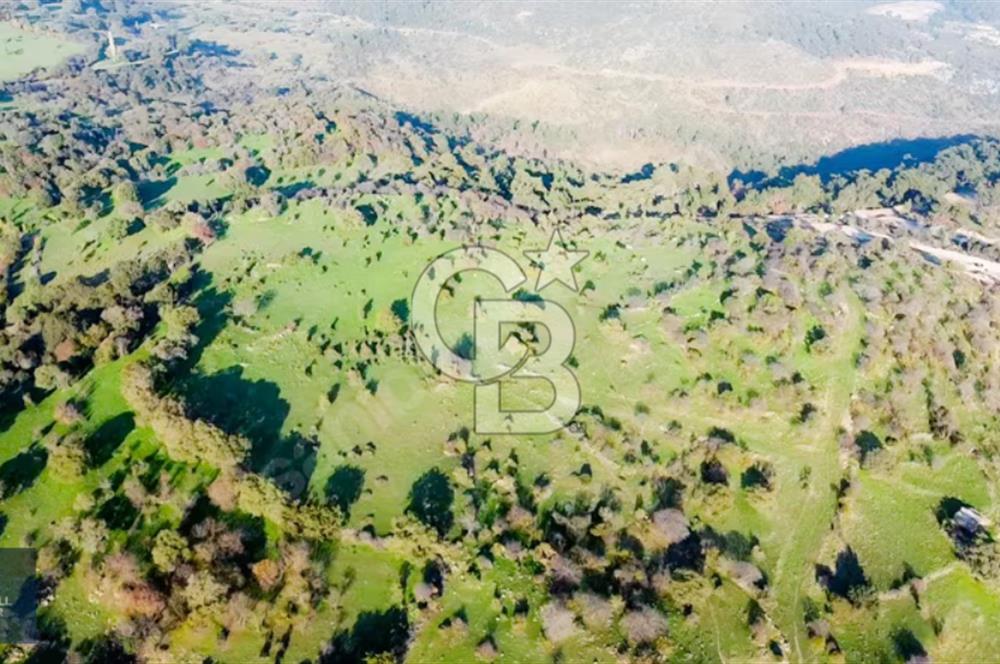ÇANAKKALE AYVACIK PAŞAKÖY DENİZ MANZARALI İMARLI 5001 M2 ARSA