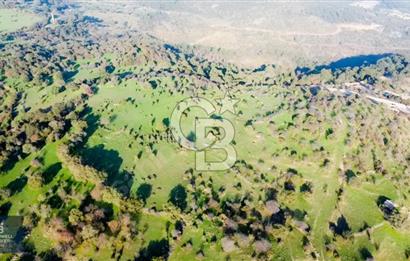 ÇANAKKALE AYVACIK PAŞAKÖY DENİZ MANZARALI İMARLI 5001 M2 ARSA