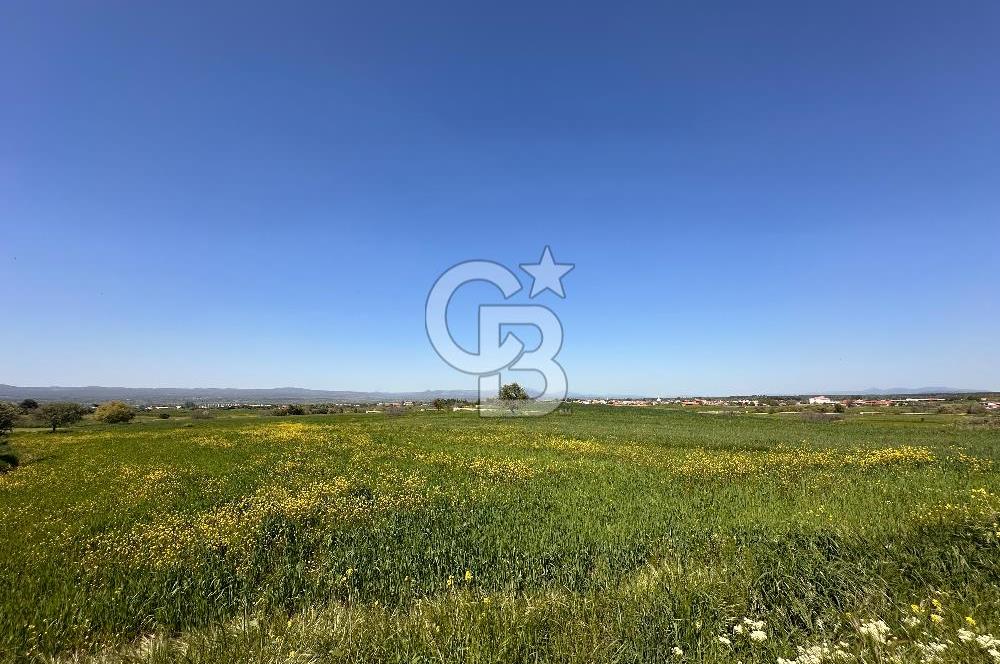 ÇANAKKALE BAYRAMİÇ/TÜRKMENLİ'DE 4063 m2 SATILIK TARLA
