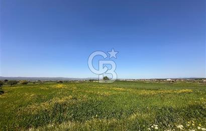 ÇANAKKALE BAYRAMİÇ/TÜRKMENLİ'DE 4063 m2 SATILIK TARLA