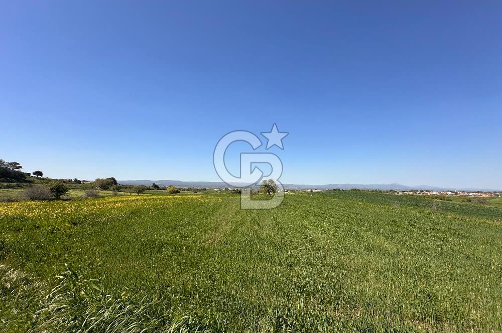 ÇANAKKALE BAYRAMİÇ/TÜRKMENLİ'DE 4063 m2 SATILIK TARLA