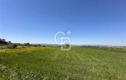 ÇANAKKALE BAYRAMİÇ/TÜRKMENLİ'DE 4063 m2 SATILIK TARLA