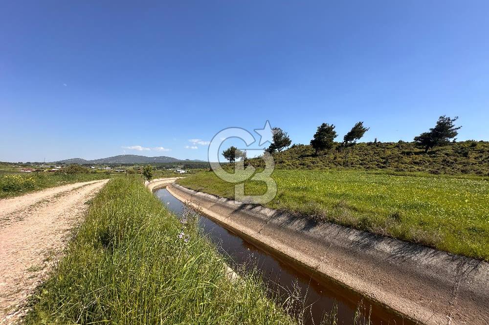 ÇANAKKALE BAYRAMİÇ/TÜRKMENLİ'DE 4063 m2 SATILIK TARLA